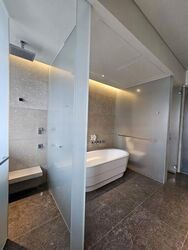 Hana (D10), Condominium #511288151